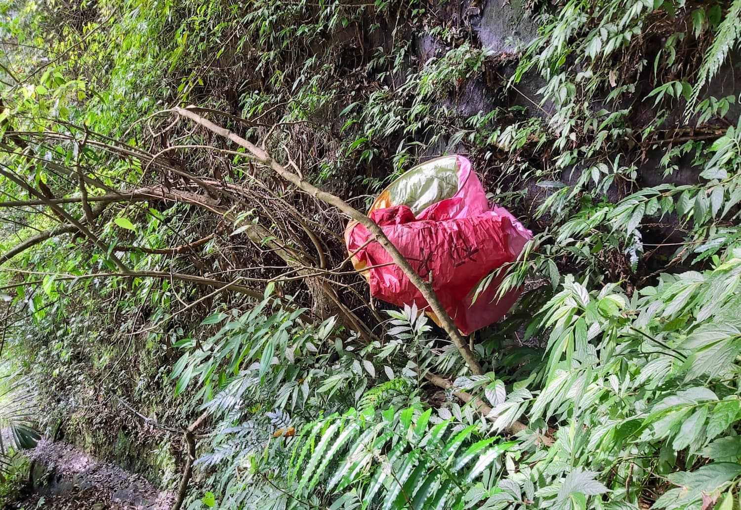 a sky lantern discarded in the grass